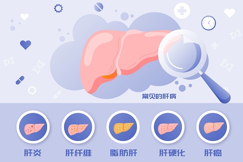 1654703515141074.jpg 攝圖網_402142207_全國愛肝日常見肝病矢量插畫(企業商用).jpg