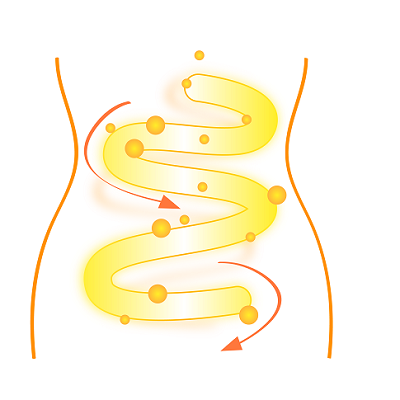 1658596874531528.png 攝圖網(wǎng)_401728415_腸道健康(企業(yè)商用).png