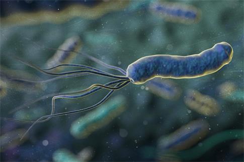 1662157245288761.jpg 攝圖網_401909522_banner_幽門螺桿菌(非企業商用).jpg