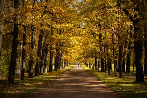 1664301031633111.jpg 攝圖網(wǎng)_501083881_banner_俄羅斯最美的園林秋色(非企業(yè)商用).jpg