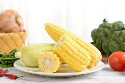 zDW_501355100_banner_ףIã.jpg