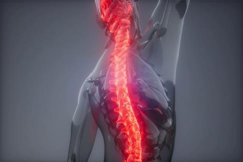 1674836095858390.jpg 攝圖網_300025606_banner_脊骨背痛人體脊柱骨骼發光的科學解剖掃描背部骨頭背痛(非企業商用).jpg