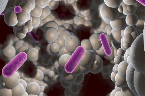 1679596021635812.jpg 攝圖網(wǎng)_401873580_banner_感染細(xì)菌(企業(yè)商用).jpg