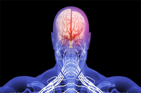 1694823218759763.jpg 攝圖網(wǎng)_401862599_banner_腦萎縮場(chǎng)景(企業(yè)商用).jpg