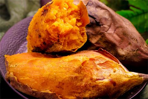 1717202239210877.jpg 攝圖網_500713510_banner_地瓜紅薯番薯(企業商用).jpg