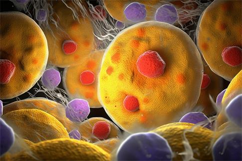 1718413544570177.jpg 攝圖網(wǎng)_600246483_微觀世界細胞質(zhì)顆粒(企業(yè)商用).jpg