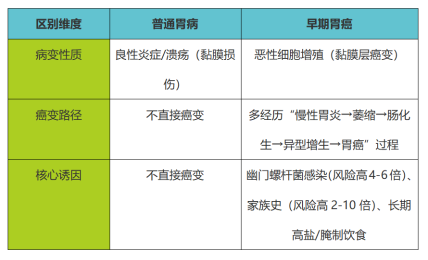 1761526542153514.png 1761526102719215.png